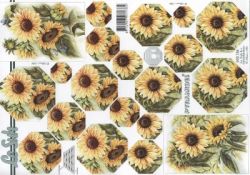 Sonnenblumen - Le Suh 630136